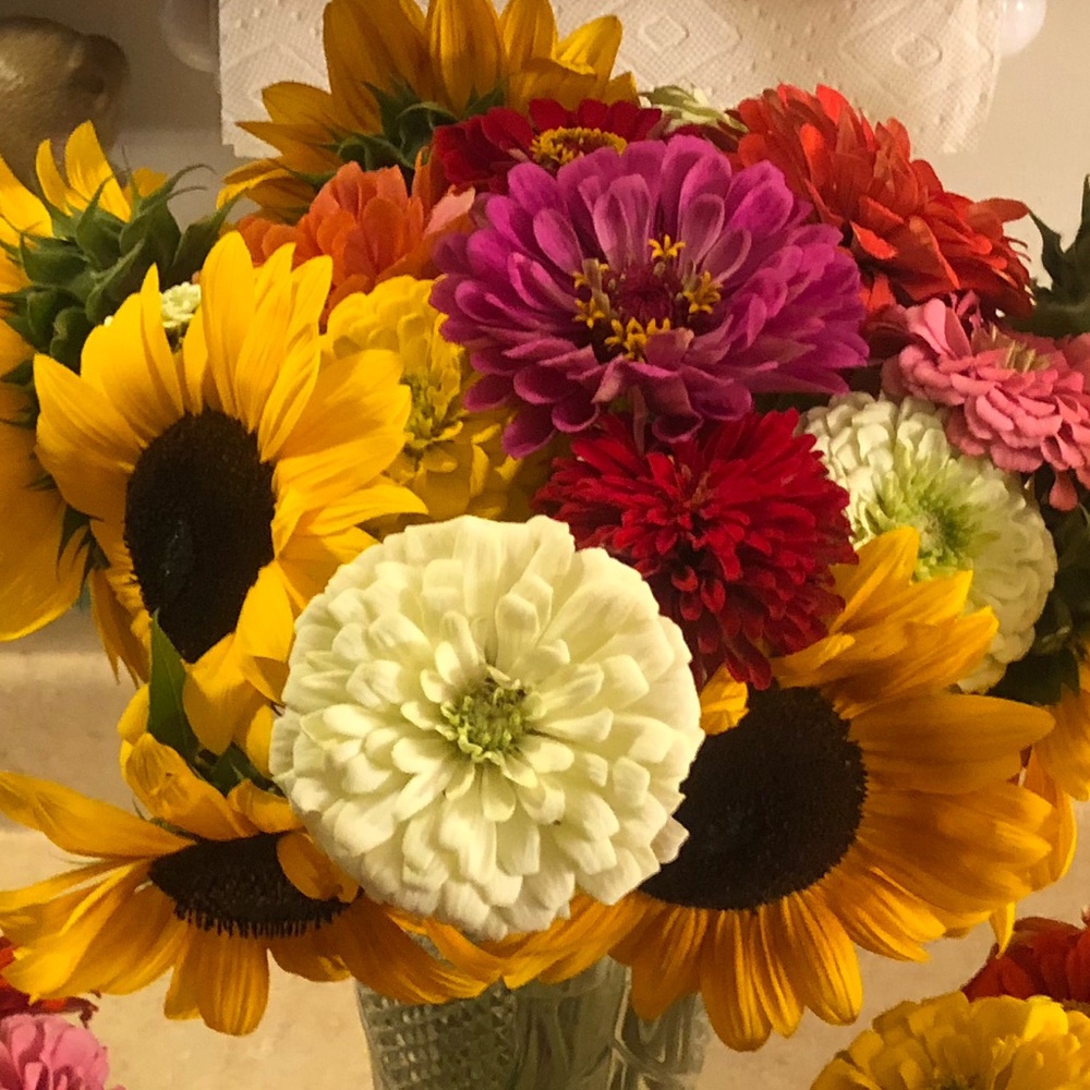 Meet your Posher, Madison